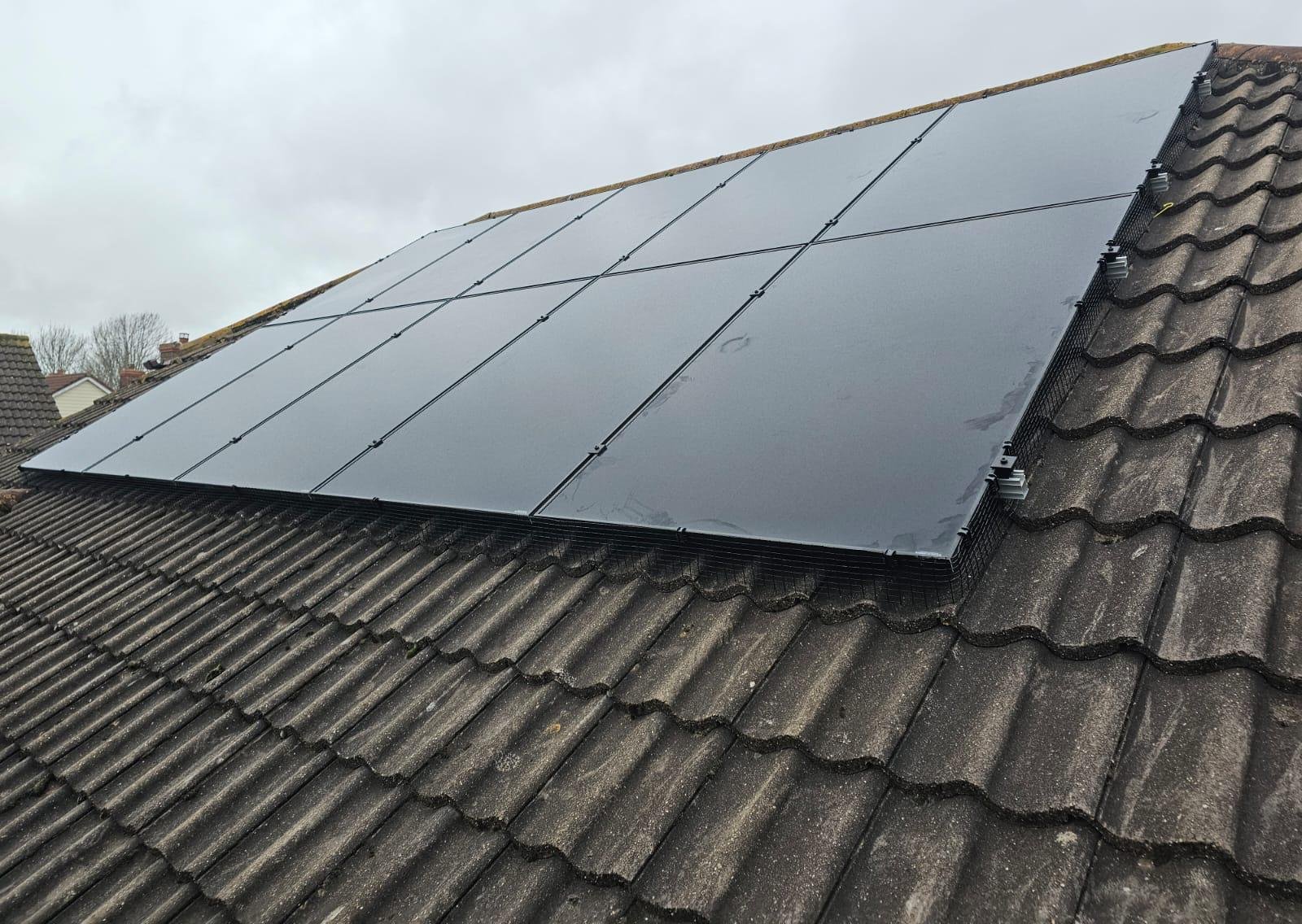 Solar array with bird protection mesh fitted around the panel edges