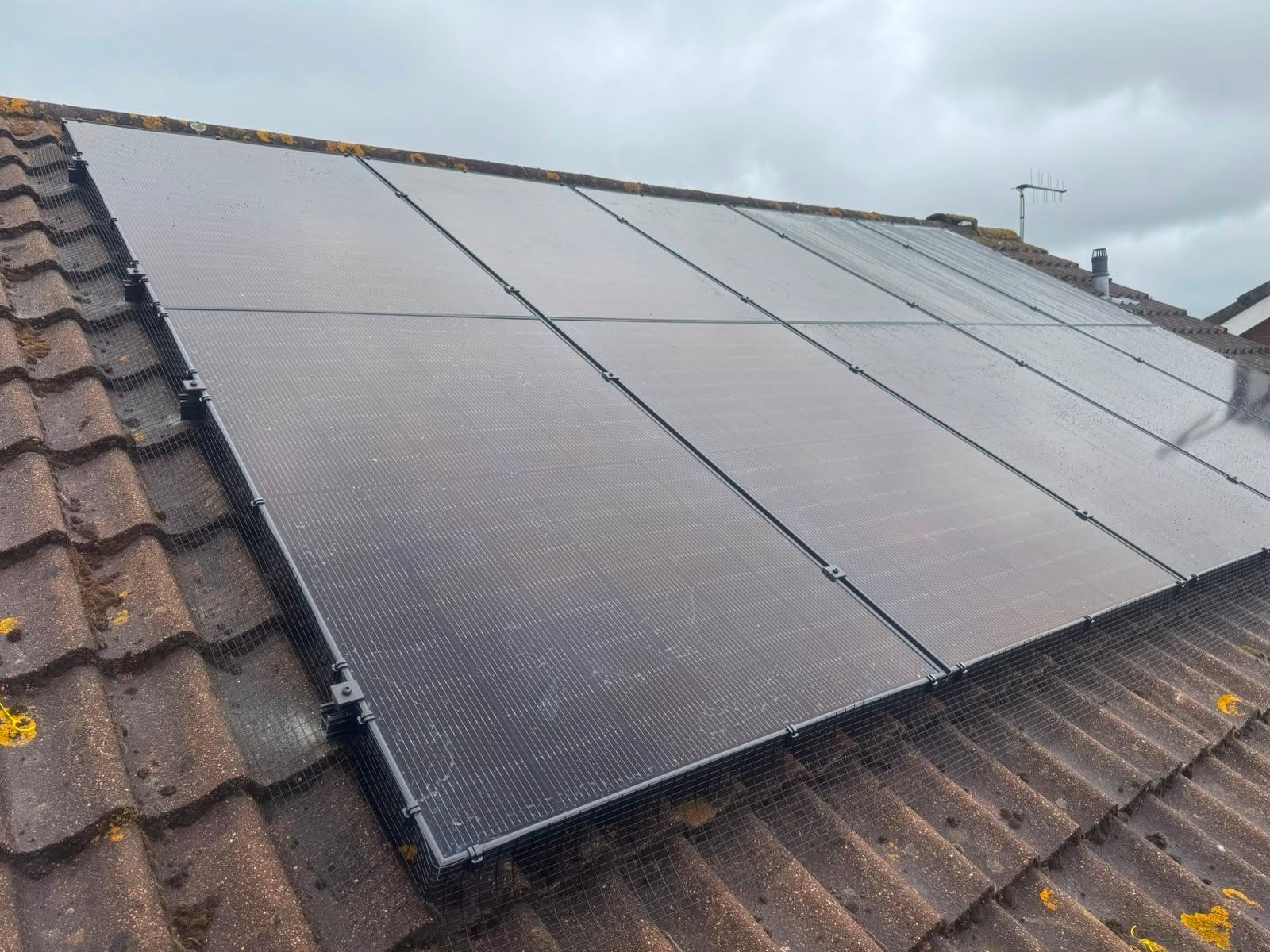 Rain-covered black solar panels with bird protection mesh fitted